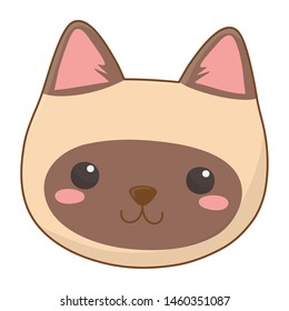 Isolated cat cartoon design vector illustrator