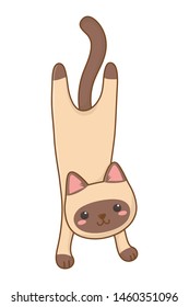 Isolated cat cartoon design vector illustrator