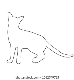 isolated cat contour