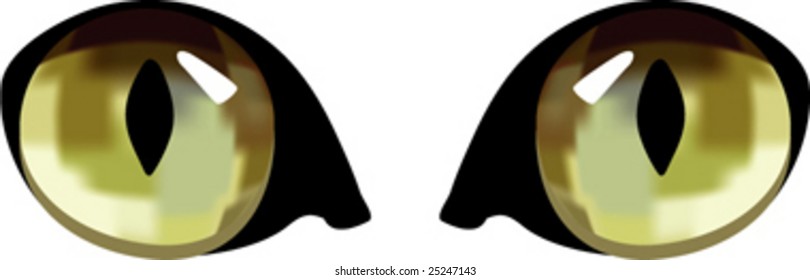 isolated cat eyes