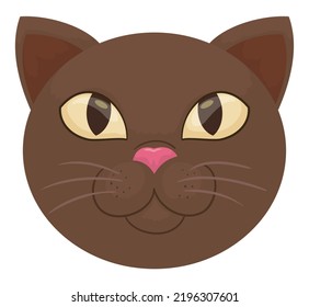 Isolated cat head with brown fur, yellow eyes and looking at the top, over white background.