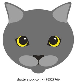 isolated cat head, cartoon vector