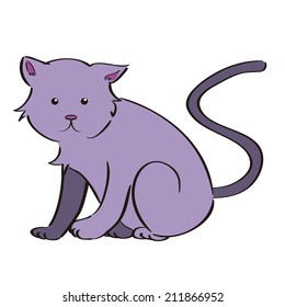 an isolated cat on a white background