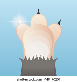Isolated cat paw with nails, Vector illustration