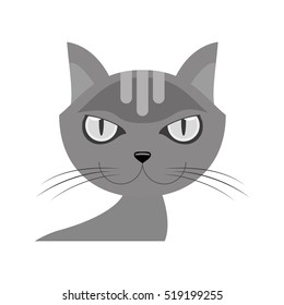 Isolated cat pet design
