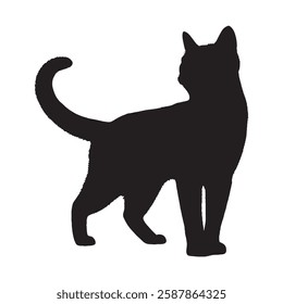 Isolated Cat Silhouette - Clean and Crisp Cat Illustration
