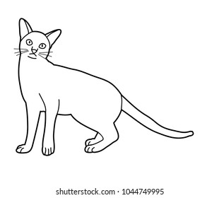  isolated cat sketch on white background