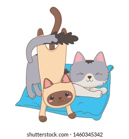 Isolated cats cartoons design vector