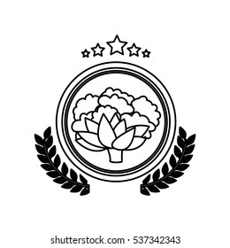 Isolated cauliflower design