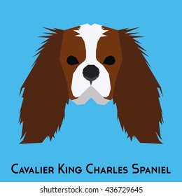 Isolated Cavalier King Charles Spaniel on a blue background