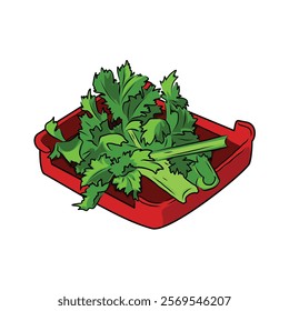 Isolated Celery leaves in red plate, vector hand drawing illustration. Green leaves and whole part of celery,Hight fiber and vitamin K vegetable, hot pot ingredients. fresh vegetables 