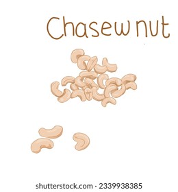Isolated chasew nut in vector best for design element