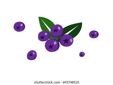 Isolated of Cherries, cherries vector, cherries illustration