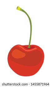 isolated cherry fruit vector illustrations.