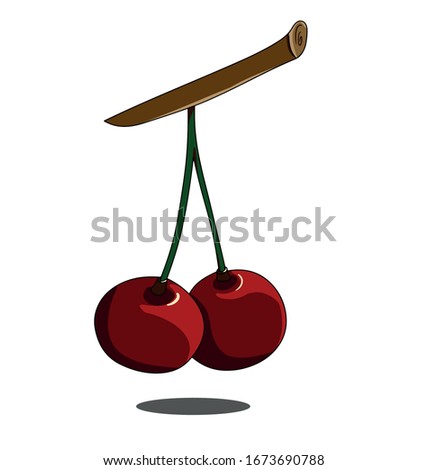 Isolated cherry on white background