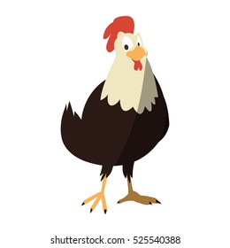 Isolated chicken cartoon design