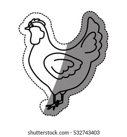 Isolated chicken design
