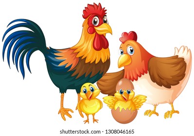 Isolated chicken family on white background illustration