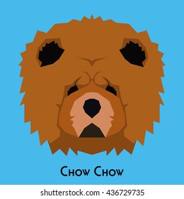 Isolated chow chow on a blue background