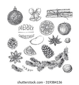 Isolated Christmas elements for design in vintage style engraving. Apple, walnuts, hazelnuts,  cinnamon, fir branch, cones, jingle bells, handwritten  Merry Christmas, Orange