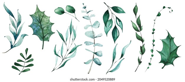 Isolated Christmas Evergreen Branch, Holly Leaves, Eucalyptus, Greenery Etc. Traced Vector Watercolor Set. Hand Drawn Illustration Collection On White Background. Water Colour Drawing.