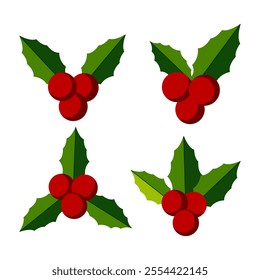 Isolated Christmas holly berry leaves Vector illustration, Xmas Decoration graphic elements, Festive Clip art for Greeting card and Banner, Red and Green  Flat style ornaments, vector stock