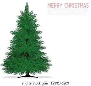 Isolated Christmas tree on transparent background