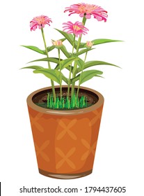 flor aislada de crisantemo en el diseño vectorial de olla