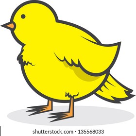 Isolated chubby yellow canary bird