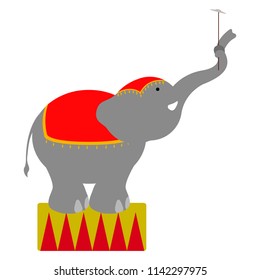 Isolated circus elephant