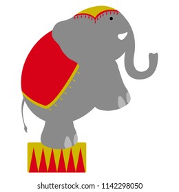 Isolated circus elephant