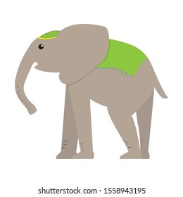 Isolated circus elephant on a white background - Vector