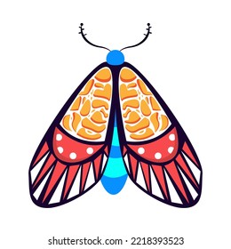 Ilustración vectorial de la polilla de los colores aislados