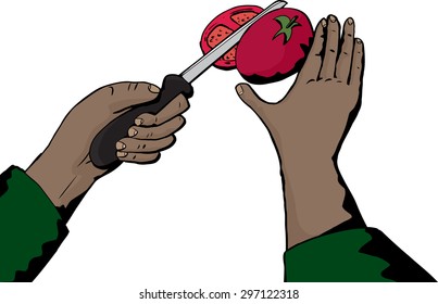 Isolated close up of chef chopping a tomato