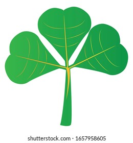 Isolated clover icon. Saint patricks day - Vector