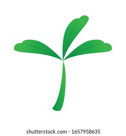 Isolated clover icon. Saint patricks day - Vector