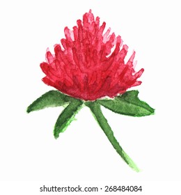 Isolated clover on white vector background