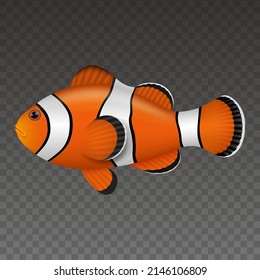 Isolated Clown Fish. Colorful Fish Realistic Illustration