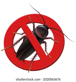 Isolated cockroach crushed by a prohibition symbol on a white background