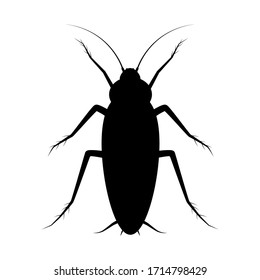 Isolated cockroach icon on white background. Vector black insect silhouette.