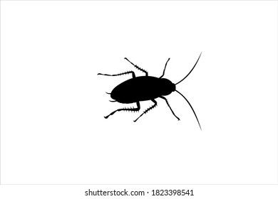 Isolated cockroach icon on white background. Vector black insect silhouette.
