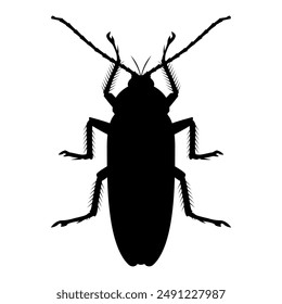 Isolated cockroach icon on white background. Vector black insect silhouette.