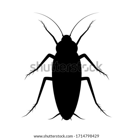 Isolated cockroach icon on white background. Vector black insect silhouette.