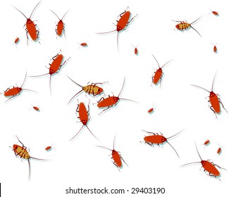 The isolated cockroaches on a white background