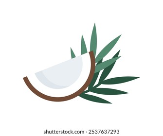 Isolated Coconut in a cut with pulp. Tropical fruit with palm leaves. Icon. Cartoon flat style. Brown green and white color. Vector illustration for beauty cosmetic and food drink design.