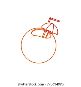 Isolated coconut design