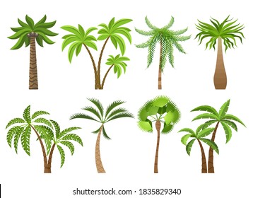 Isolated coconut palm trees. Vector coco palms green tree elements on white background for illustrative beach view designs