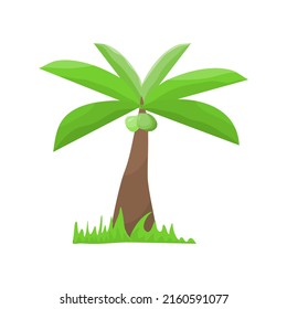 Isolated coconut tree element illustration vector. flat illustration design