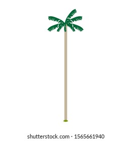 Isolated cocora valley tree over a white background - Vector illustration