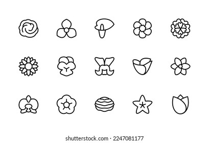 Isolated collection linear icons of flowers. Flora. Orchid, periwinkle, petunia, tradescantia, snapdragon, sunflower, tulip and more. Vector icons of flowers for web sites on white background.